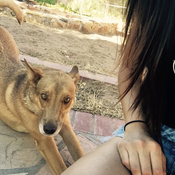 Meet your Posher, Sharon - Picture 1 of 1